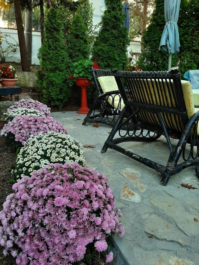 Apartment Queen Beograd Ngoại thất bức ảnh